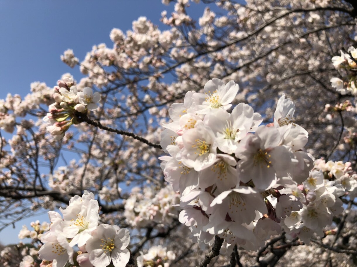 人間関係、恋愛関係、愚痴なんでも話聞きます 心に溜まってる事なんでもお聞きします イメージ1