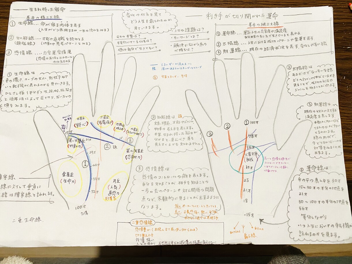 手相占い【利き手で運命を】逆手で宿命をみます 手の平には川、丘、平原小さなあなただけの世界があります♫ イメージ5