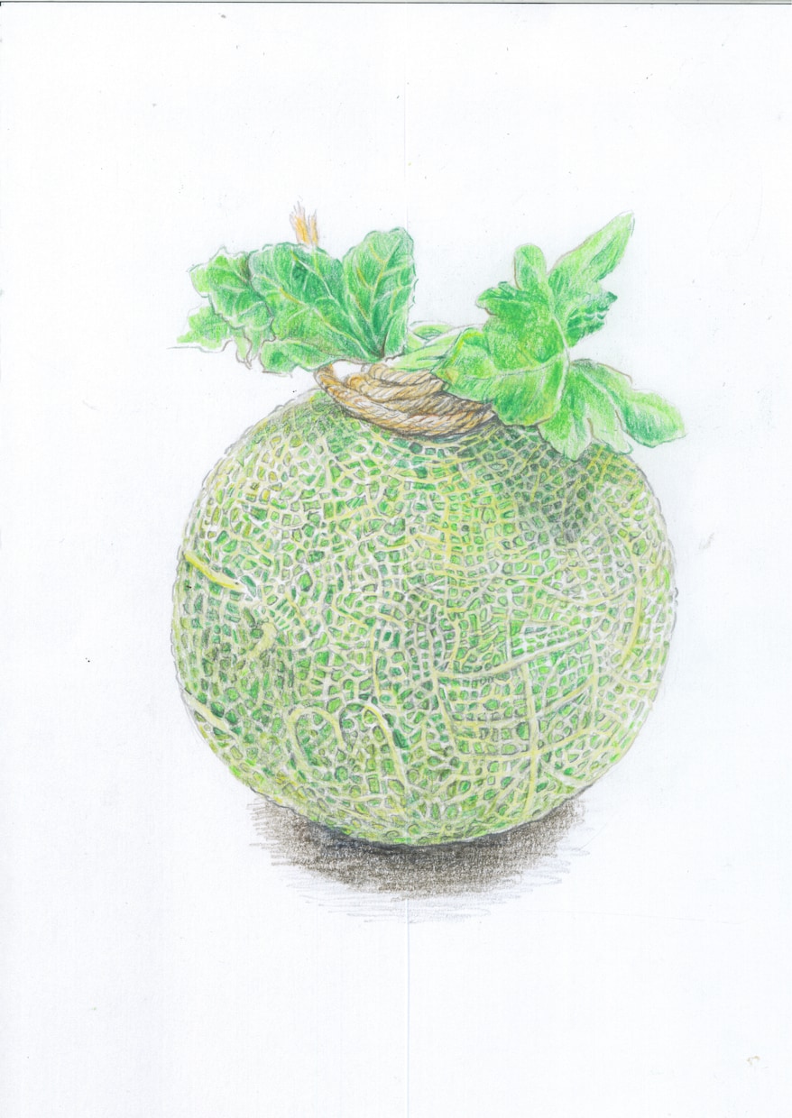 リアルな、色鮮やかなイラストお描きします パッケージ、挿絵、商品説明イラストに。 イメージ2
