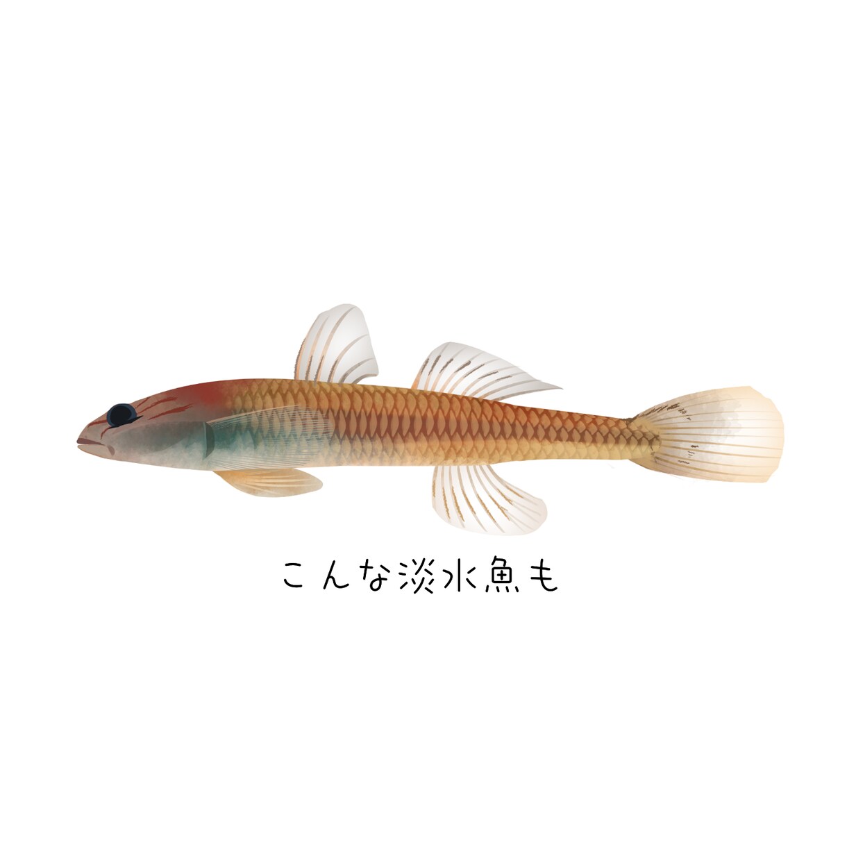 ライブ即納!1時間で生き物イラスト描きます 配信中限定出品!制作過程をリアルタイムにご覧いただけます イメージ3