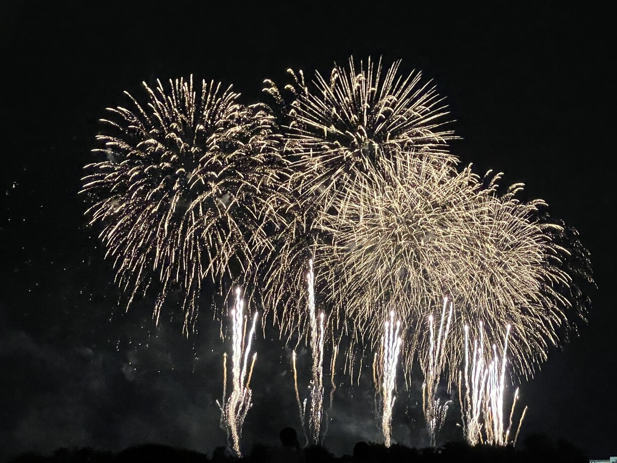 愛でる物の話し聞きます あなたの愛でる物の行き場のない思い、受け止めます！ イメージ1