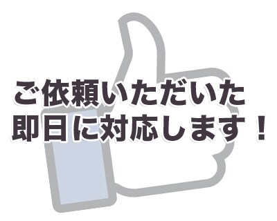 Facebook広告を即日・格安で代理出稿します 配信後の詳細レポートまでお届けします！ イメージ2