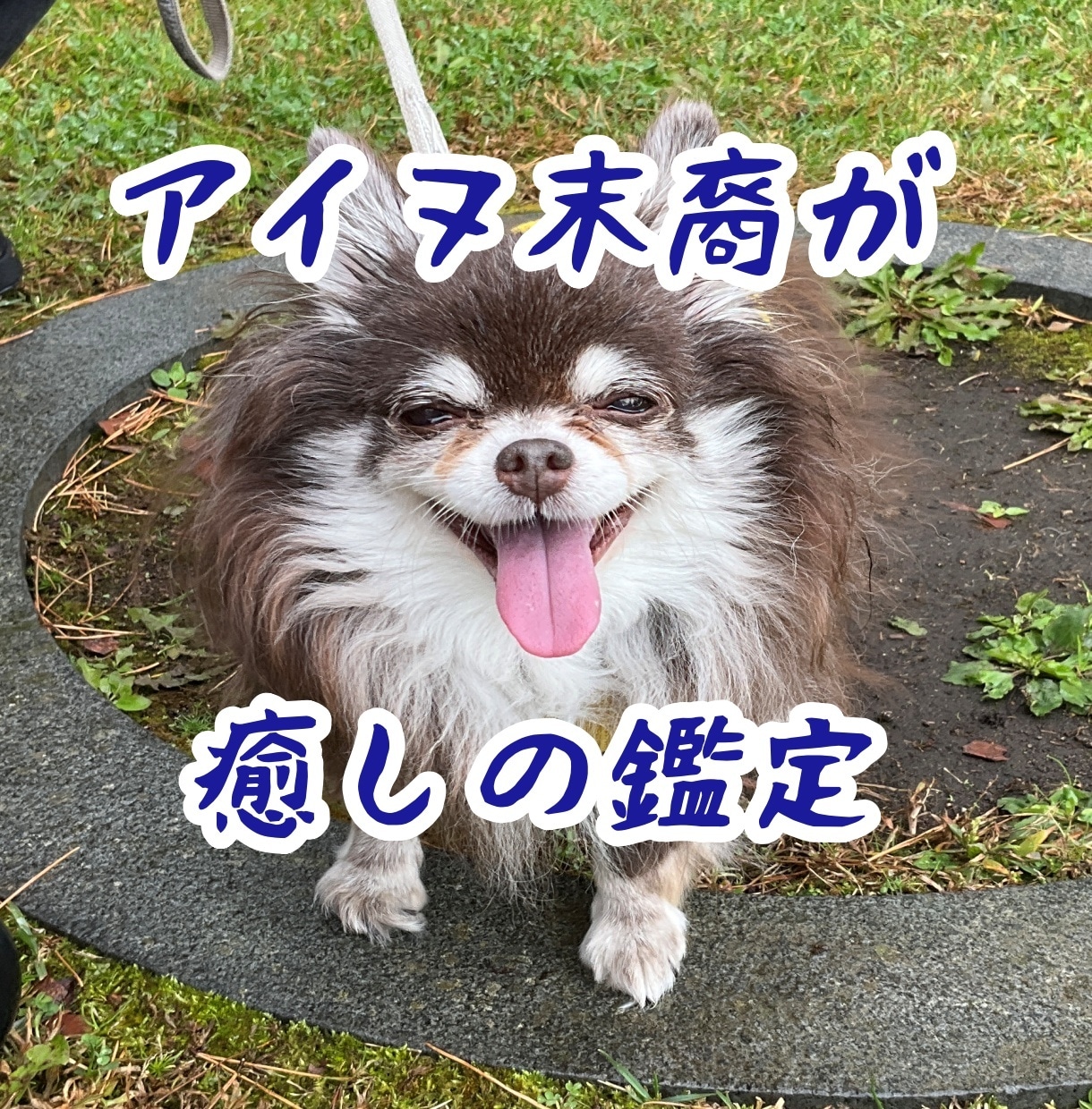 アイヌ末裔が相手の本当の気持を教えます 片思い、両思い、不倫、同性愛…相手の本心知りたくないですか？ イメージ2