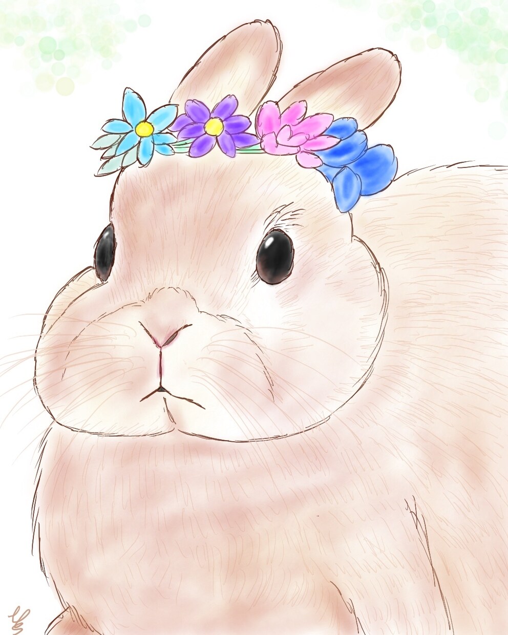 写真をもとに温かみのあるペットイラスト制作します 「写真では残せない温かさをイラストで。」 イメージ3