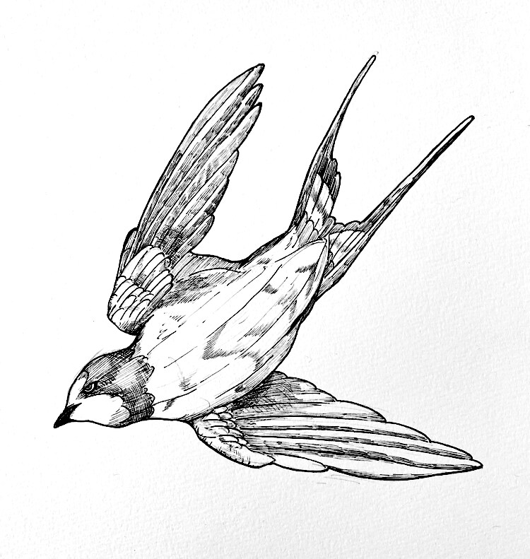イラスト制作します 用途に合わせた実用的で面白いイラストです！ イメージ6