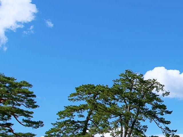 今すぐこの気持ちを聞いてほしい、何でもお受けします なんか不安、誰か聞いて、雑談・恋愛・仕事・話し相手・お試し イメージ5