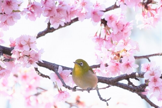 失恋の辛さを優しく慰め、心を込めて話しを聴きます 辛いこと、苦しいこと、忘れられないこと、全部聴きます イメージ9