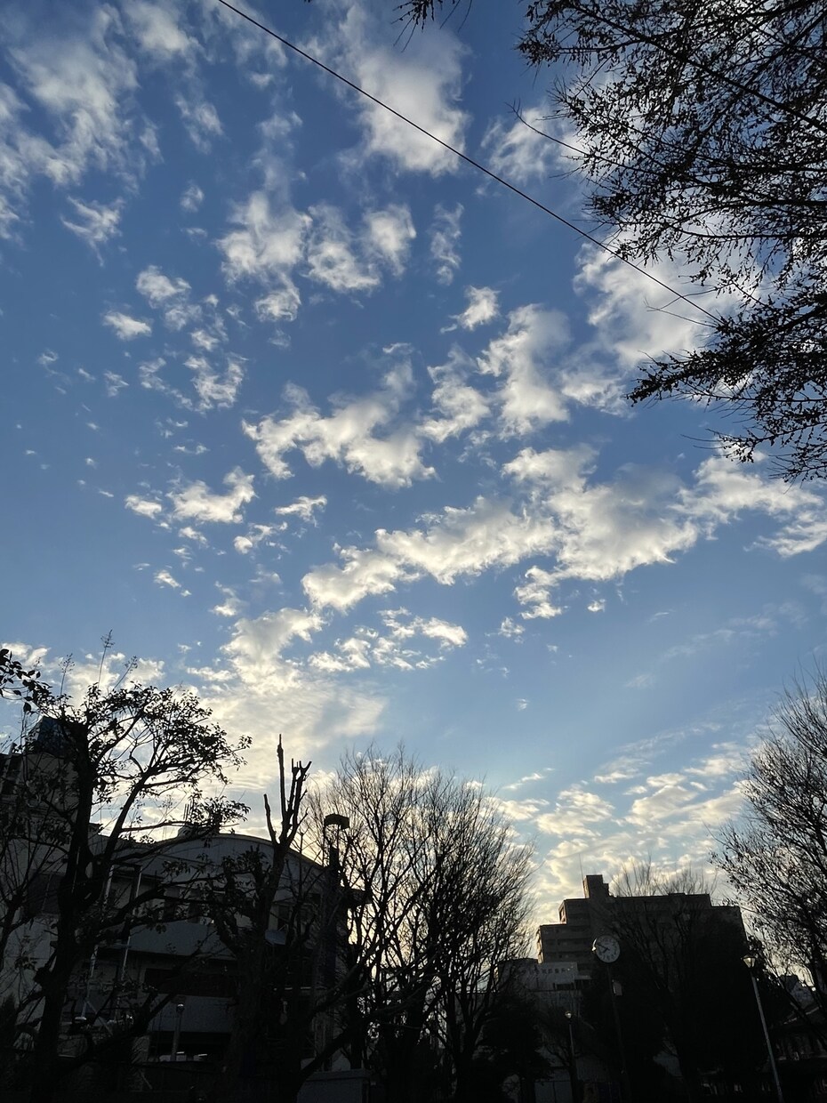 風景、花の画像提供します 風景、花、日常の写真提供します。 イメージ8