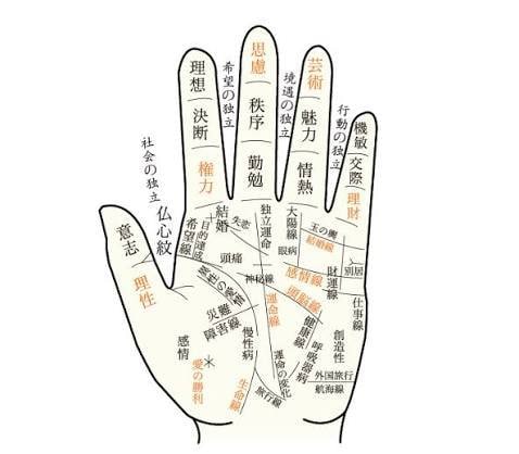 手相鑑定。金運、結婚、仕事...全てわかります 国内で信頼性のある現役占い師が占いますので当たりすぎ注意です イメージ1