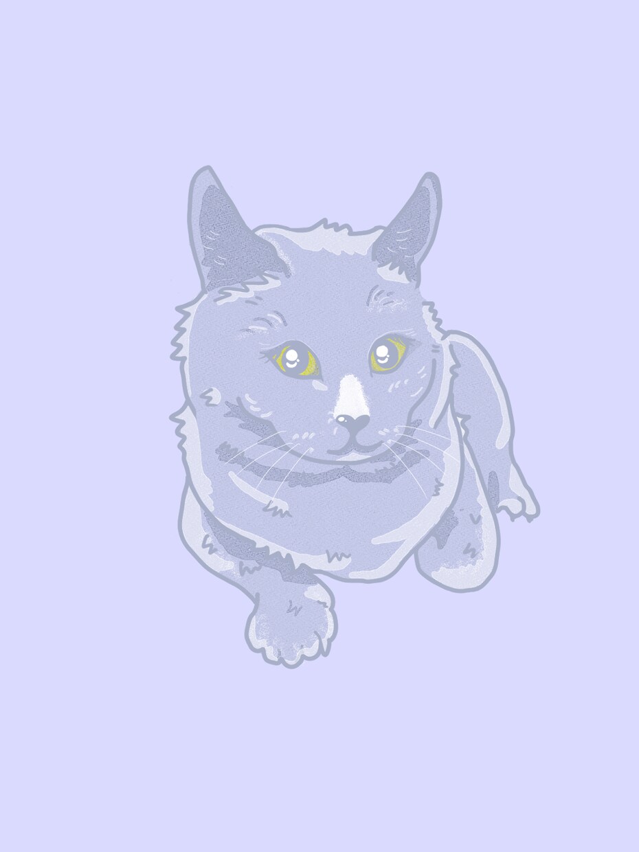 ペットをかわいいパステルの雰囲気でお描きします うちの子をﾊﾟｽﾃﾙの世界へ*.背景名入れ追加料金なしです！ イメージ7