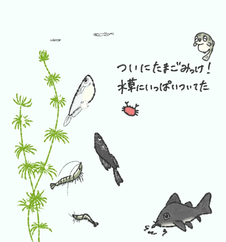 ゆるかわᗦ↞◃生き物イラスト描きます SNSアイコンや観賞用に！(˙˘˙ ﾐэ)Э イメージ6