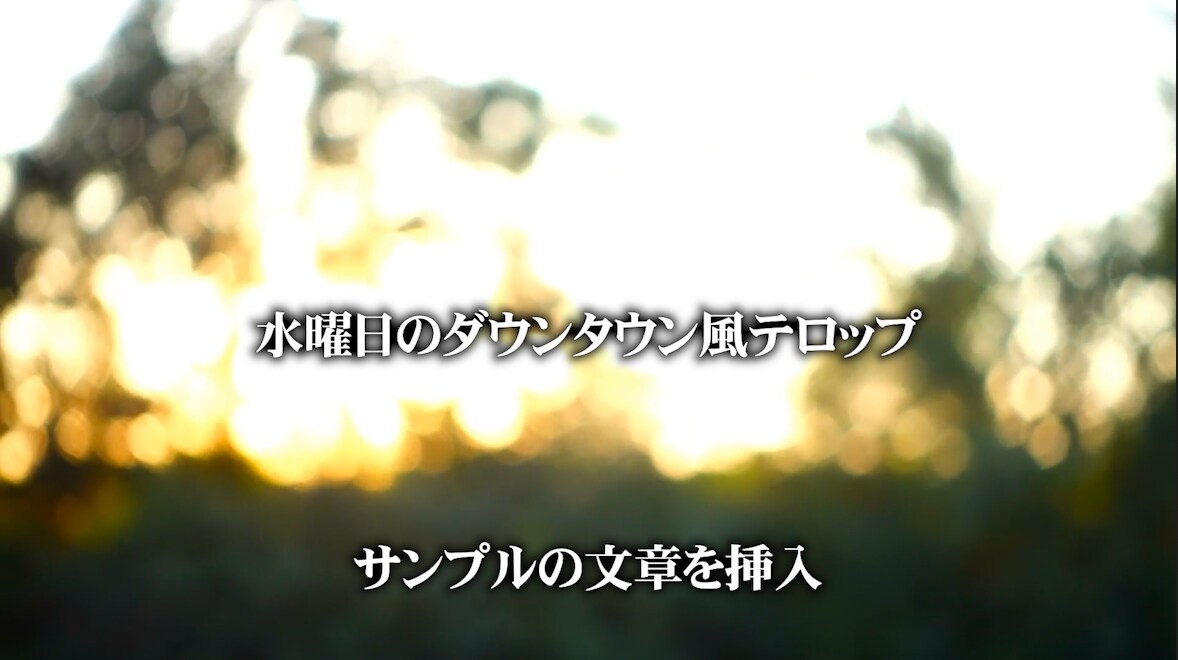 動画へ字幕、テロップを入れます あなたの編集作業をサポート！手間のかかる作業お任せください イメージ2