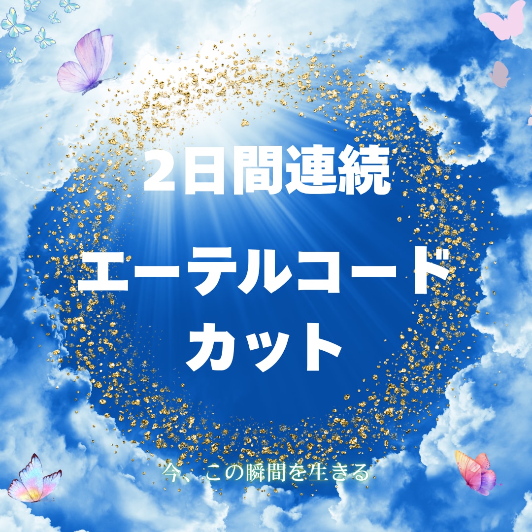2日間エーテルコードカットします ★★修復もします&一言メッセージ付き イメージ5