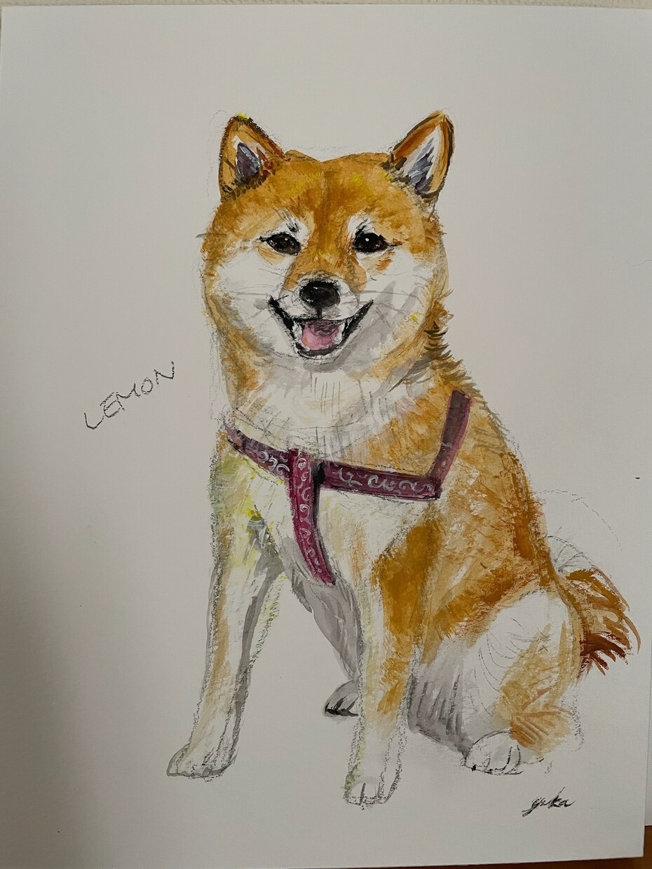 ペット肖像画、可愛くお描きします アニマルコミュニケータが愛情込めてお描きします。SM0サイズ イメージ4