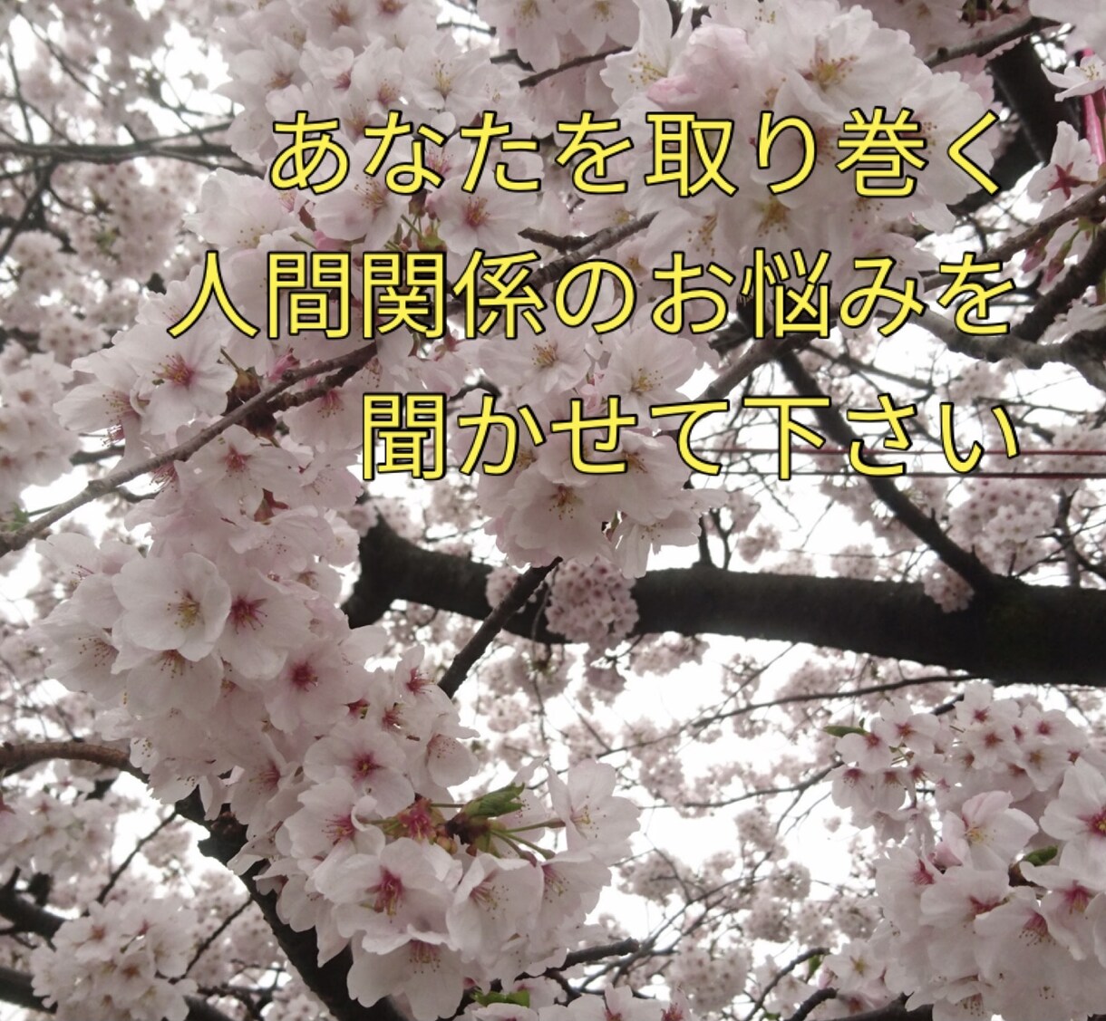 元ホステスがあなたの人間関係を伺います あなたを取り巻く様々な人間関係のお悩みを聞かせてください イメージ1