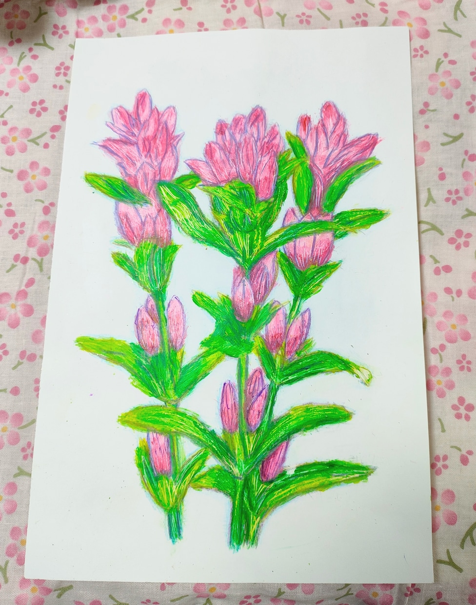 デッサンします 色鉛筆デッサンで、お花の絵をデッサンします。 イメージ1