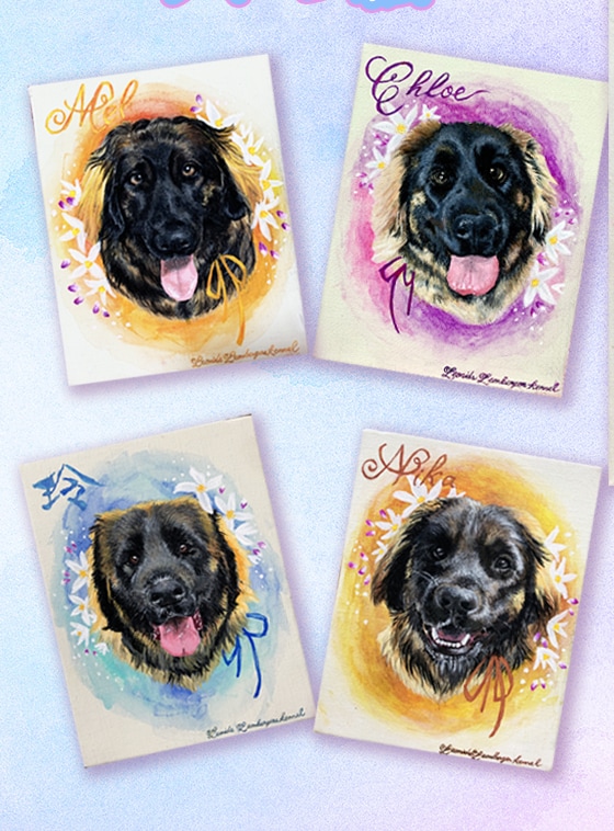 写真から愛犬・愛猫のペットアート描きます あなたの大切な家族を温かい一枚に残します♪ イメージ2