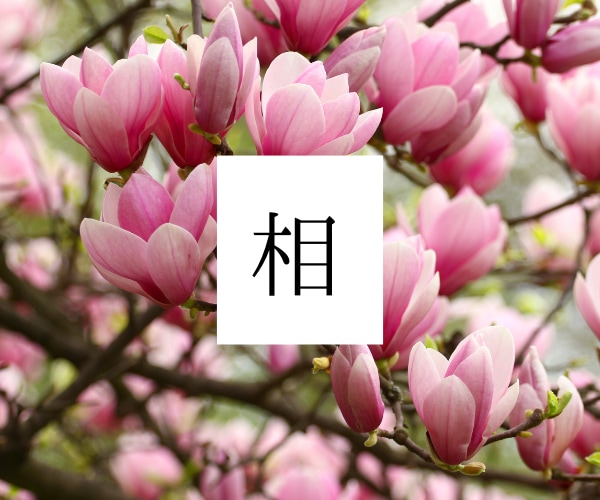 クイック占い⭐迅速にお悩み解決へ導きます 一問一答！忙しい方、時間が無い方は、こちらへどうぞ。 イメージ10