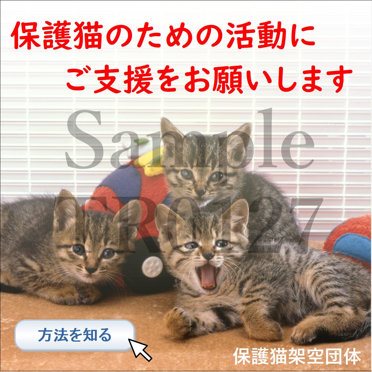 伝わるバナー、作成します ◇伝えたいことがすっきりと伝わるバナーを作成します◇ イメージ4