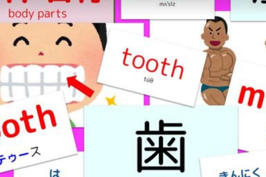 幼児〜高速フラッシュカードで潜在能力を引き出します 脳開発ビデオファイルで楽しみましょっ♥英語&漢字&聴力を養う イメージ1