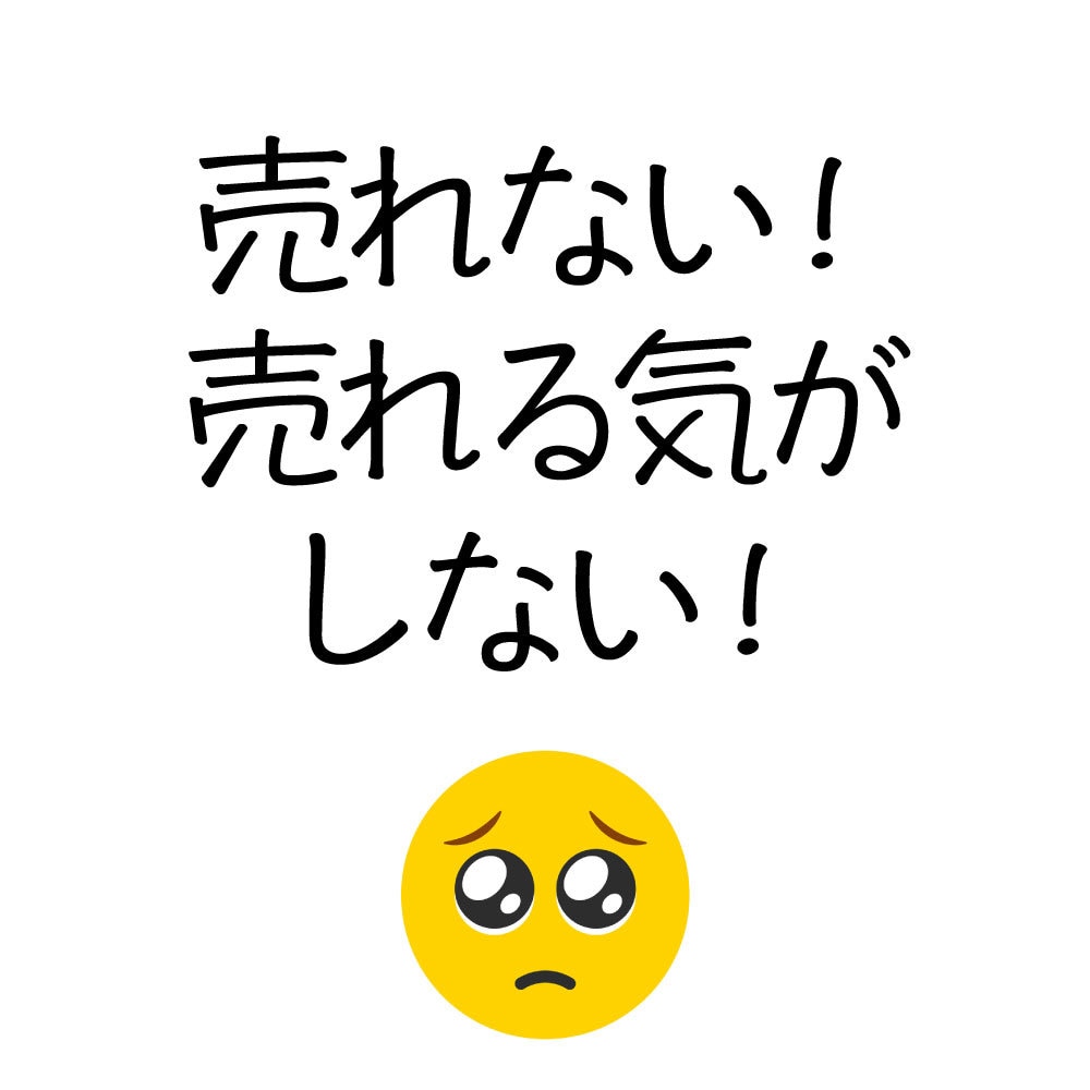 ebayのお困り事、お悩みに1週間答えまくります トップレイテッドセラーが実体験に基づいてアドバイス！ イメージ6