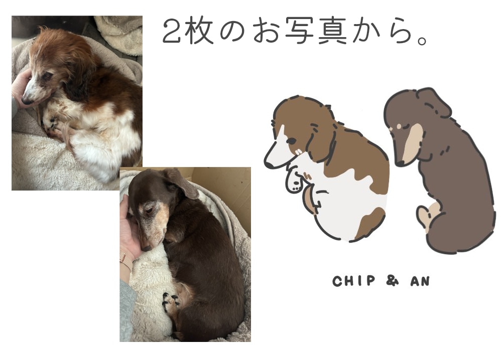 愛犬のゆるかわ似顔絵描きます お写真からゆるかわいい似顔絵をお描きします。 イメージ6