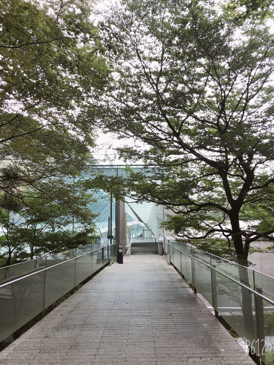 あなたの毎日の聞いて欲しいに寄り添います 3つの坂を経験した日常生活のセラピストが全力サポート！ イメージ2