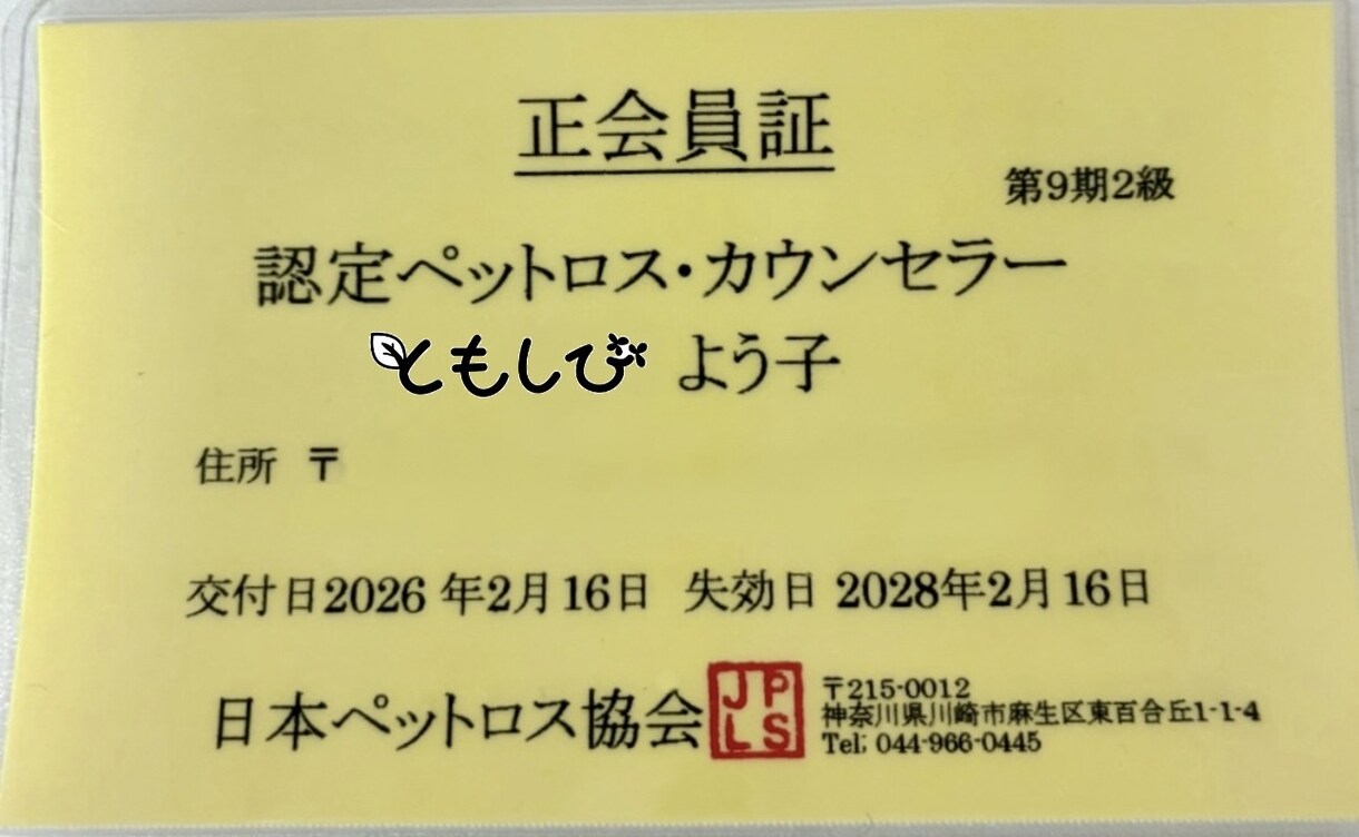 チャットでお答え！ペットちゃんとお話します 48時間以内にご報告｜チャットだから読み返せる イメージ6