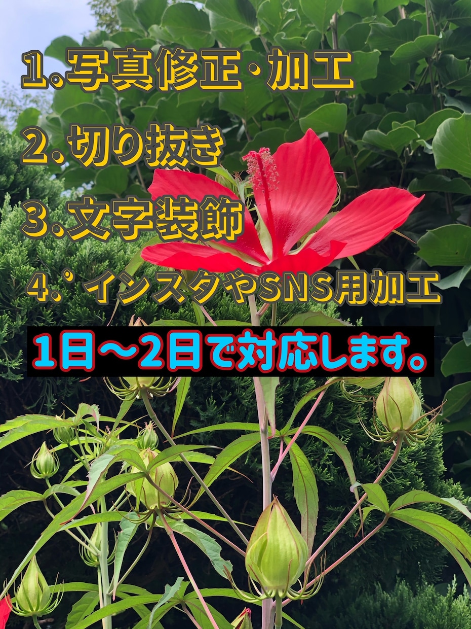 写真【加工苦手な方向け】を綺麗に修正･加工をします ★美しく見せたい人に(*^_^*) イメージ5