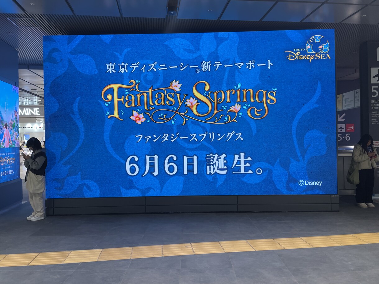 オーダーメイドのディズニーデートを提供いたします 元キャストのみ知るノウハウで想い人を虜にするお手伝い イメージ8