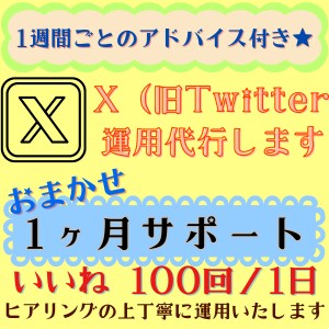 アドバイス付き★いいね【1ヶ月】x運用代行します 代行で時短＆効果的な『いいね』でフォロワー増につなげます♪ イメージ1