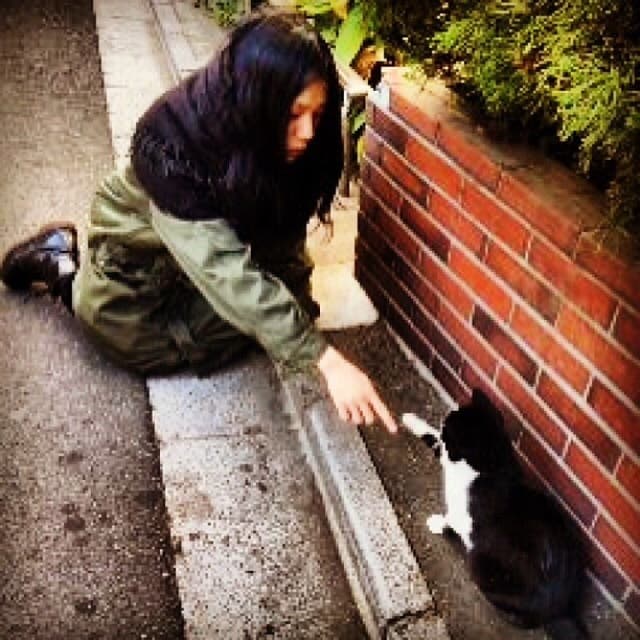 チャットでお手紙やアドバイスします サバイバーのイルミちゃんがあなたの悩みを一緒に悩みます。 イメージ1