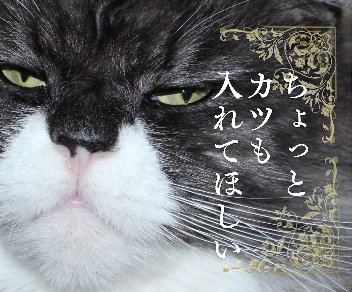 そばにいるよ。心を軽くする会話をします 抱えている思いを取り除いて♡心が前に進むお手伝いをします。 イメージ7