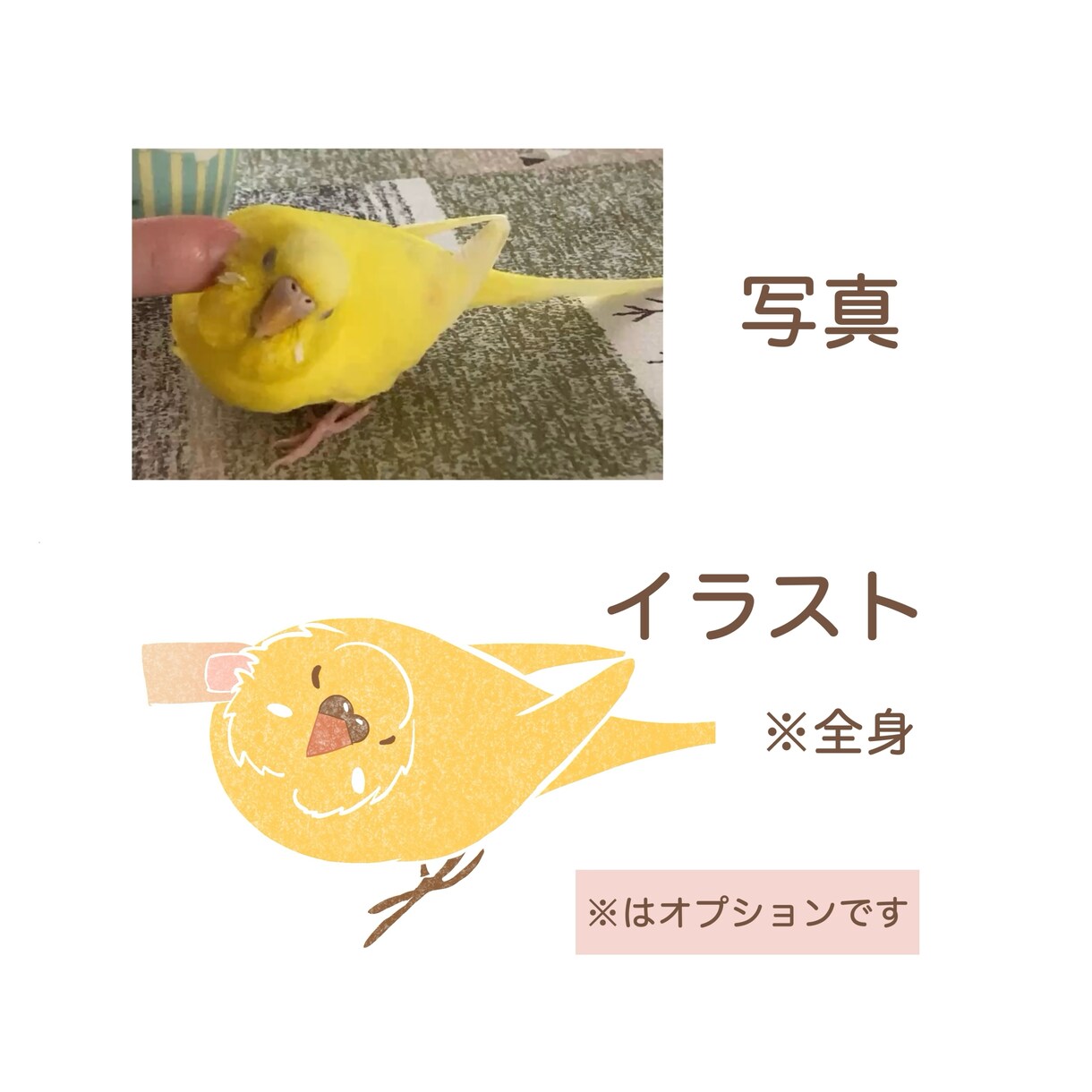 小鳥の似顔絵アイコン作成します セキセイ・オカメ・文鳥などその他の小鳥も対応します。 イメージ3