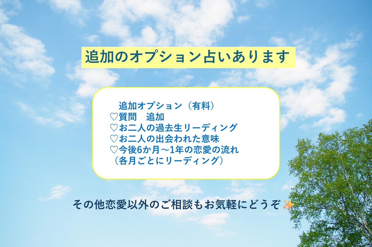 霊視&霊感タロットオラクルカードで占います ✨お相手様の本音と将来へのビジョン✨ご縁結びヒーリング付き♡ イメージ7