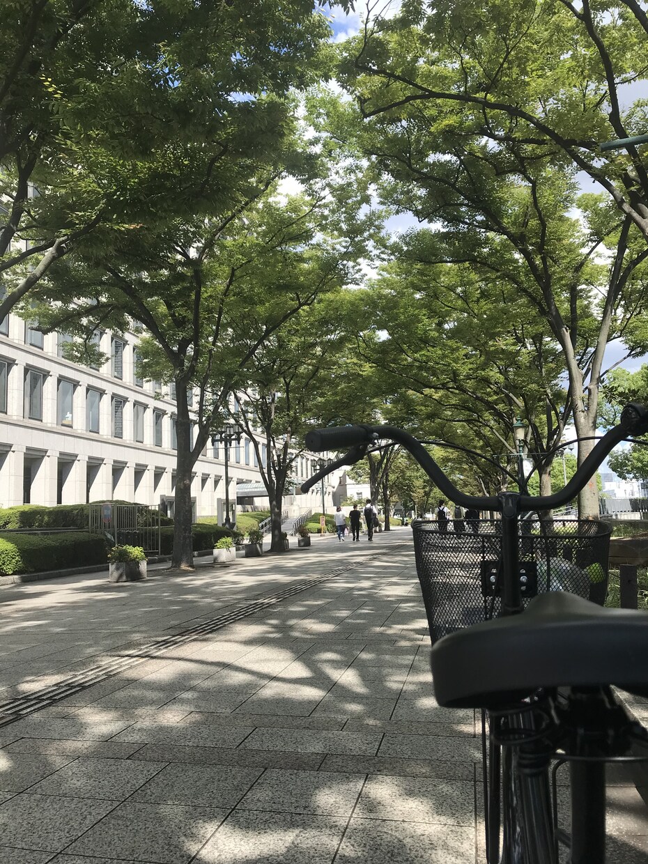 自然やパワースポットを探してる方へ提供致します 都会疲れや人疲れで癒しを求める方へ僕のパワースポット教えます イメージ5