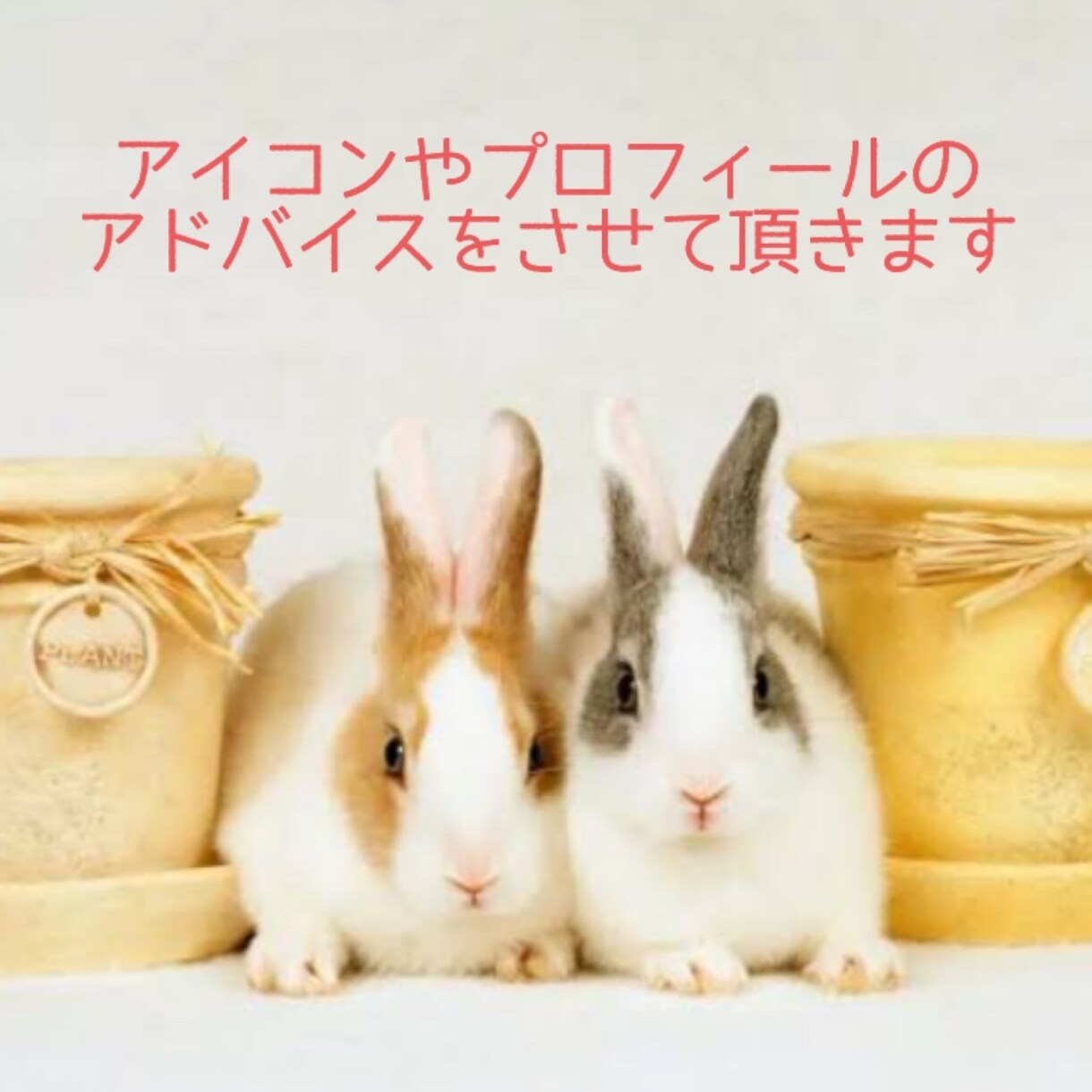 最大3日間♡アイコン、プロフのアドバイスします マッチングアプリなどのアイコンやプロフにアドバイスします♫ イメージ1