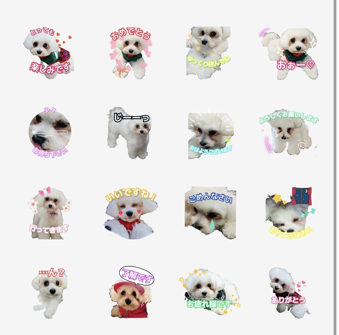 愛犬、愛猫など【写真】LINEスタンプ作ります 明るくポップなデザインで可愛さ演出！！ イメージ4