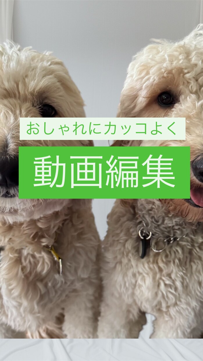 かっこよく！インタビュー/講座動画など編集承ります YouTube/PR動画等もおしゃれに編集させて頂き イメージ1