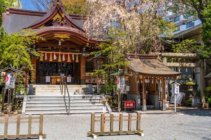 30年の霊視経験による【神社相性鑑定】を行います 寺社・参拝・仏様・仏閣・寺社・開運・パワースポット・ご利益 イメージ8