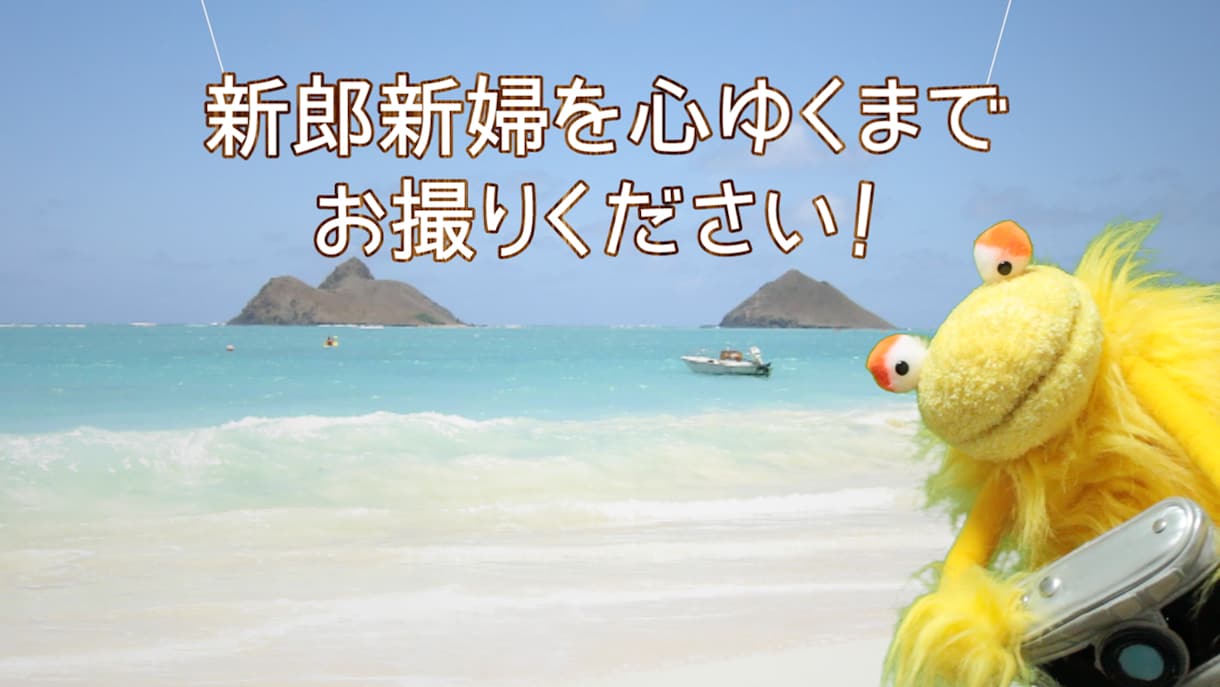 パペットをつかった結婚式オープニング映像制作します かわいらしいパペット人形のオリジナルのオープニング イメージ3