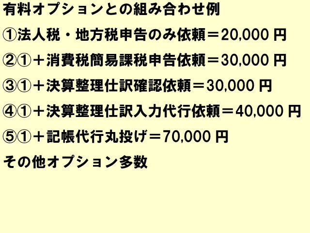 東京の税理士法人が法人税・消費税を電子申告します 満枠でも対応！セルフ方式適正価格の法人税・地方税・消費税申告 イメージ3