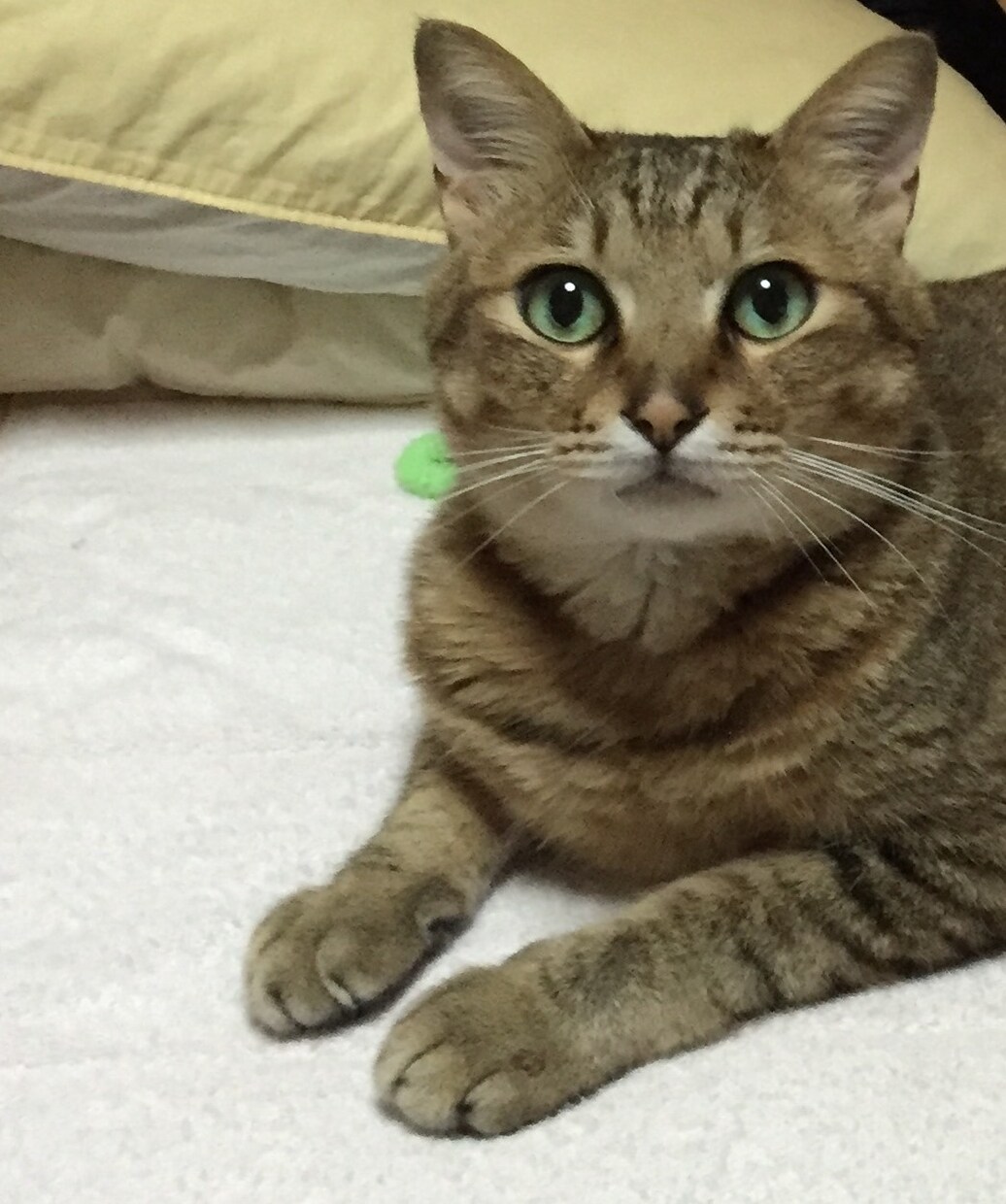 算命学で自分を知ると生き方が楽になります 自分を知り自分らしい生き方で運を引き寄せましょう イメージ1