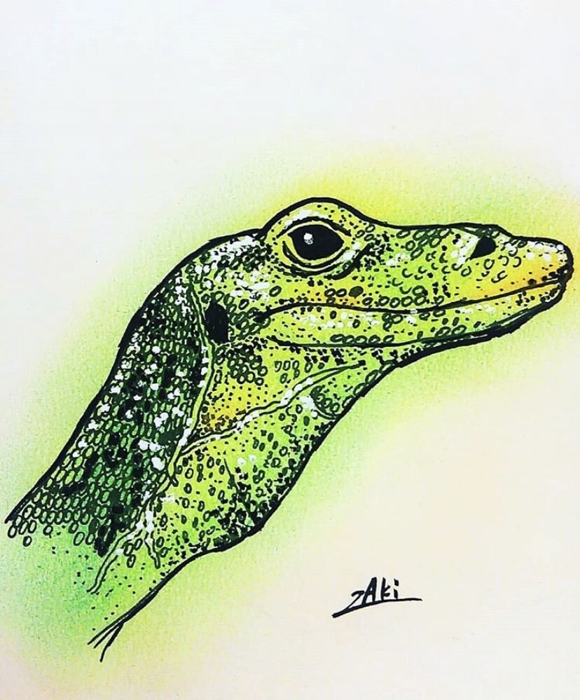 ご希望に沿ってイラスト描きます 細かいご要望にも精一杯寄り添い、納得のいく一枚にします！ イメージ10
