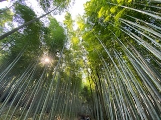 仕事を続けようか悩んでいる方相談にのります 仕事との向き合い方。考え方。方向の変え方。 イメージ1