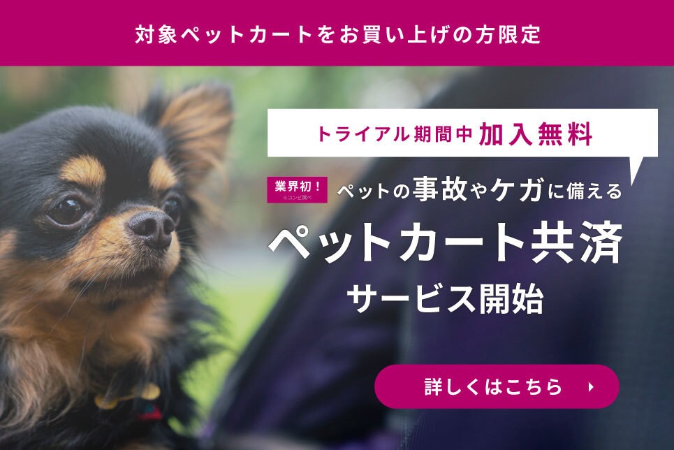 モール向けバナー制作いたします 社内のリソースが足りていない方へ！ イメージ4