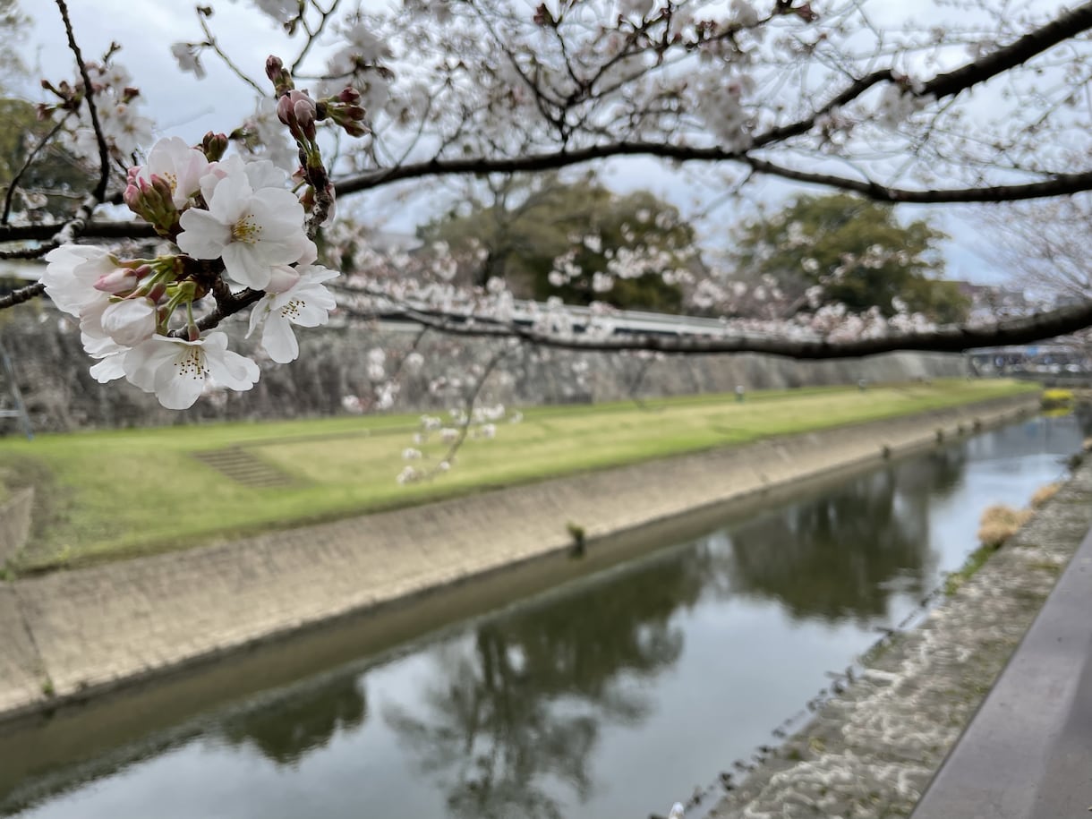 世界一優しい時間を提供させていただきます 悩み不安ストレス等、私に話して少しでも楽になりませんか？ イメージ1