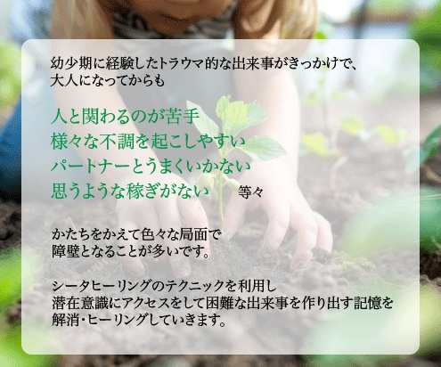 人生を困難にする原因のインナーチャイルドを癒します 幼少期のトラウマや毒親克服、前進を妨げる過去を解消 イメージ3