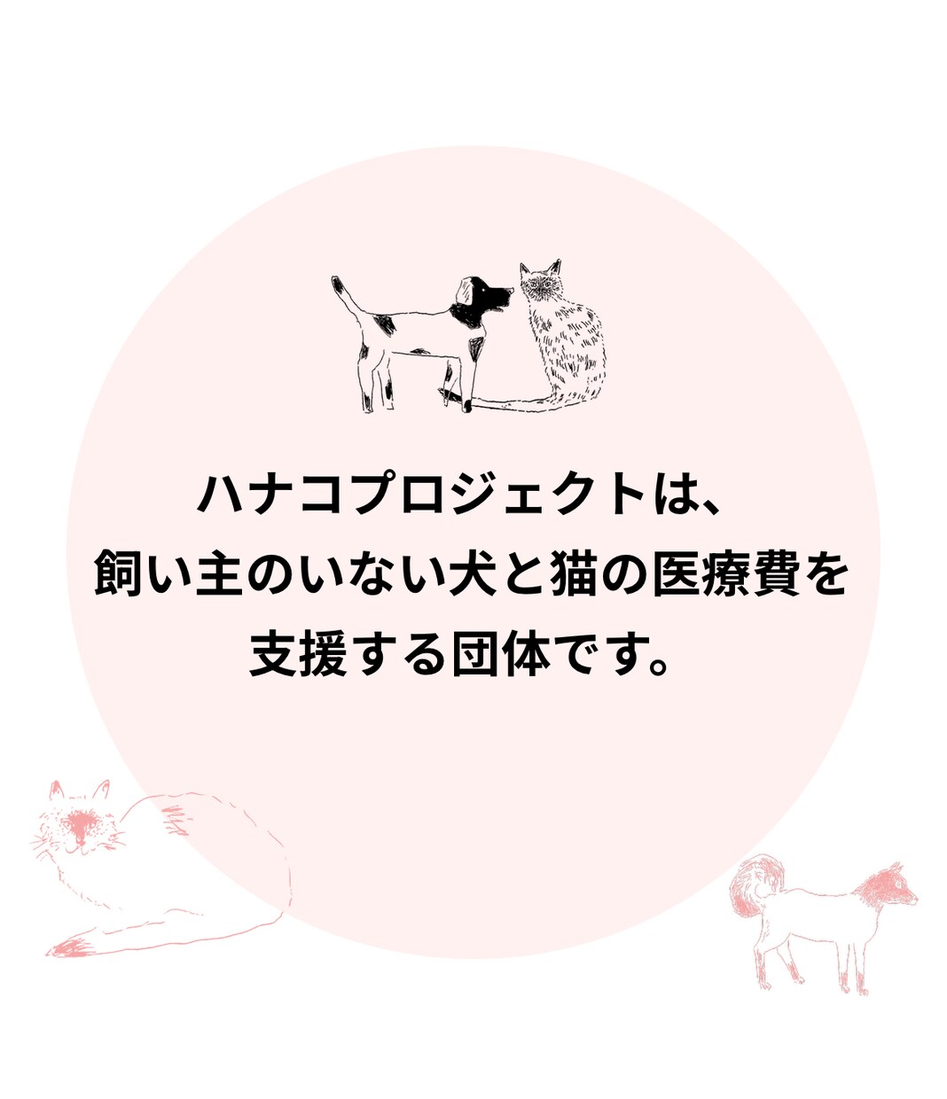 地域猫や多頭飼育崩壊した猫の格安不妊手術相談承ます この出品は購入はされないで、DMからお問い合わせ下さい イメージ5