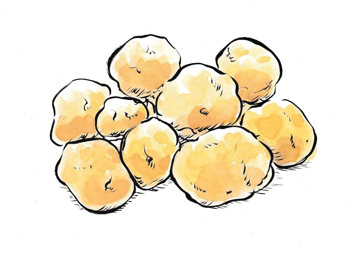 筆ペンでいろいろかきます 筆ペンと水彩で味のある絵や文字をおかきします イメージ2
